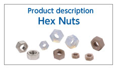 What are Hex Nuts?